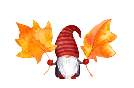 Resource image