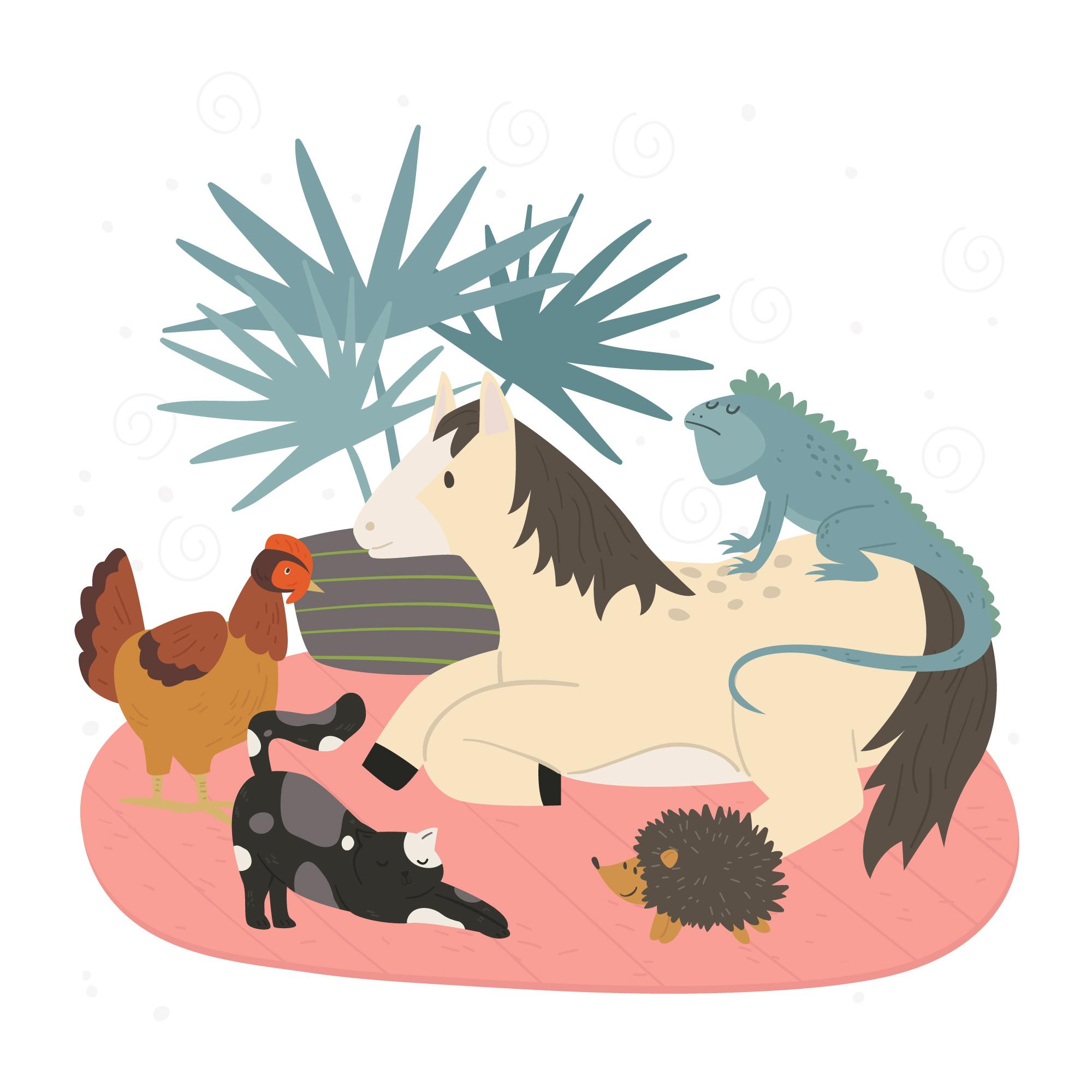 Resource image