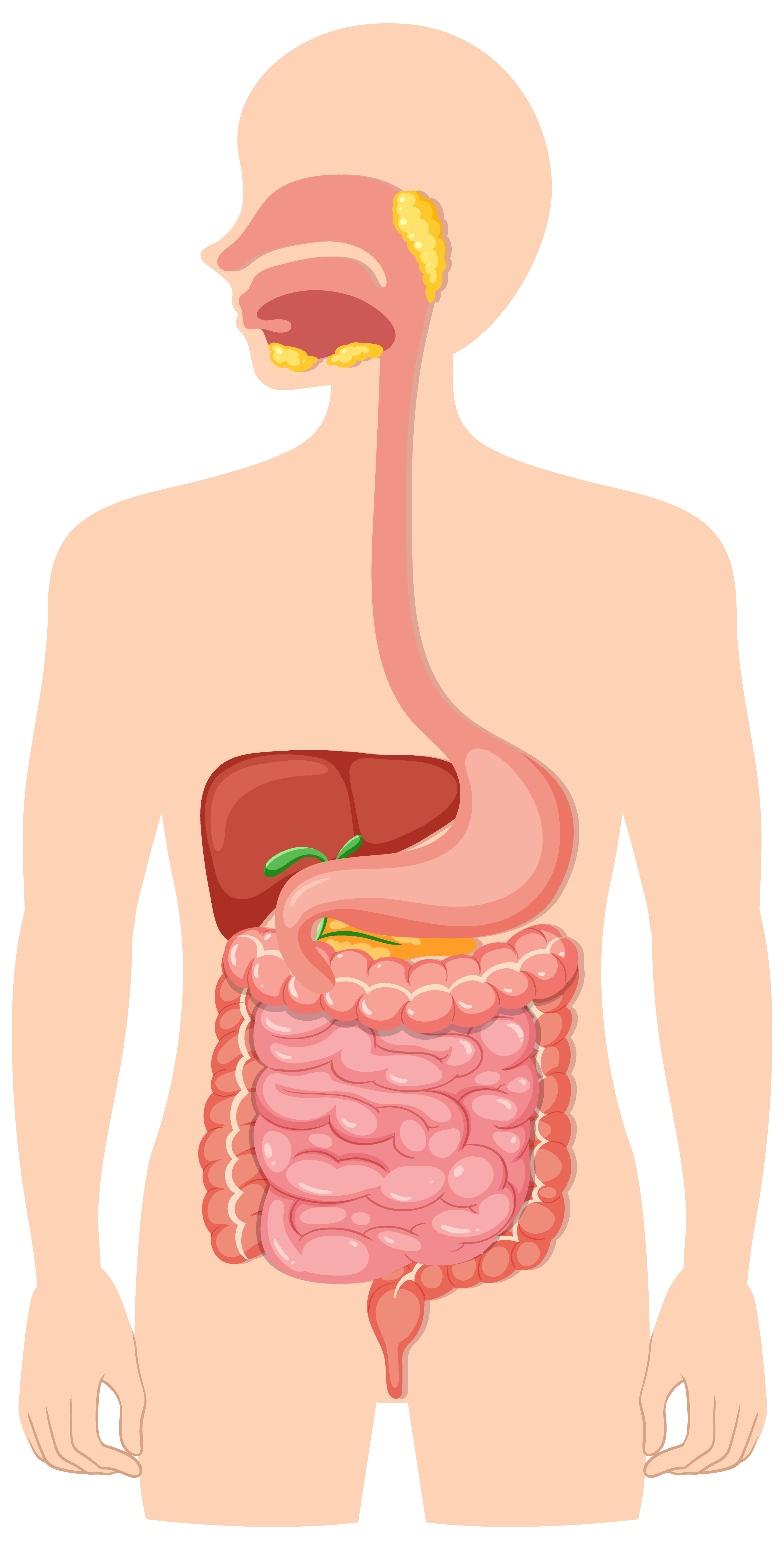 Resource image