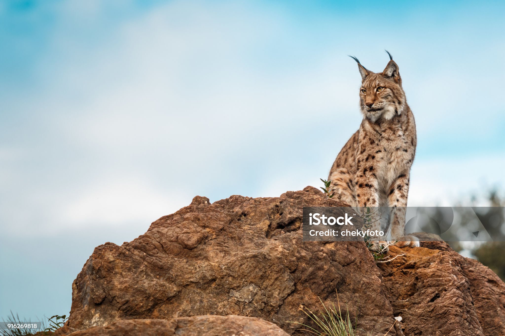 Resource image