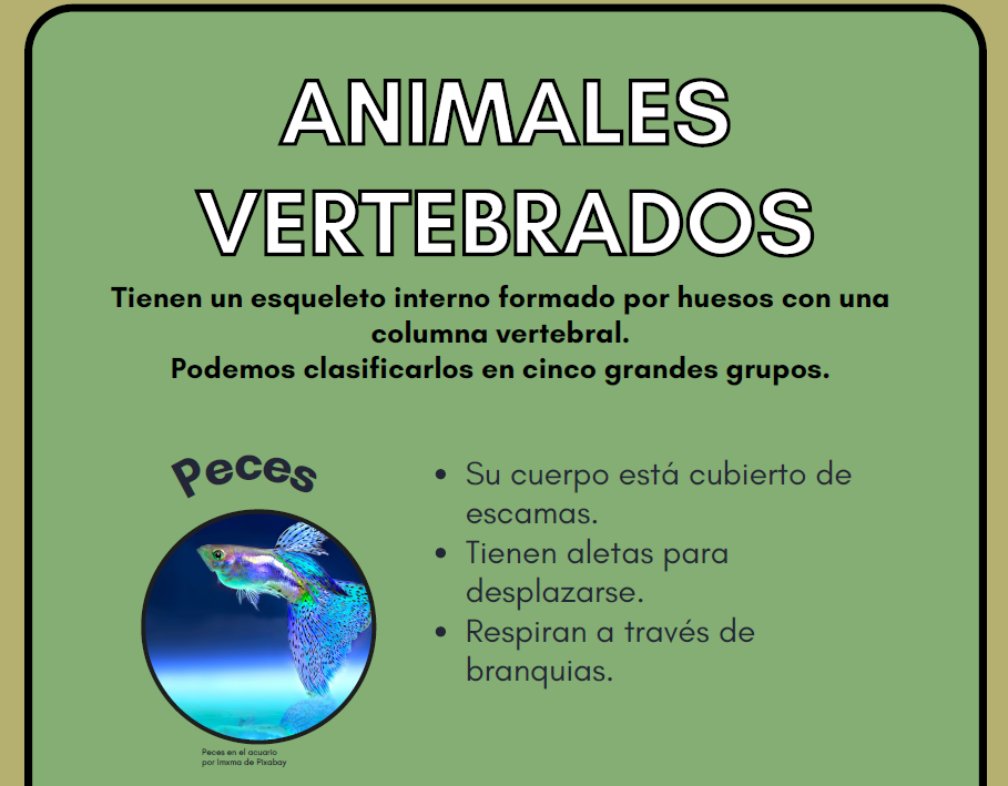Resource image