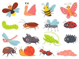 Resource image