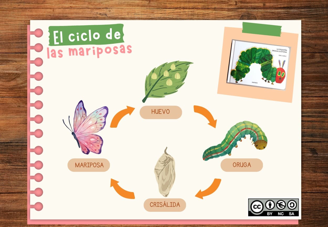 Resource image