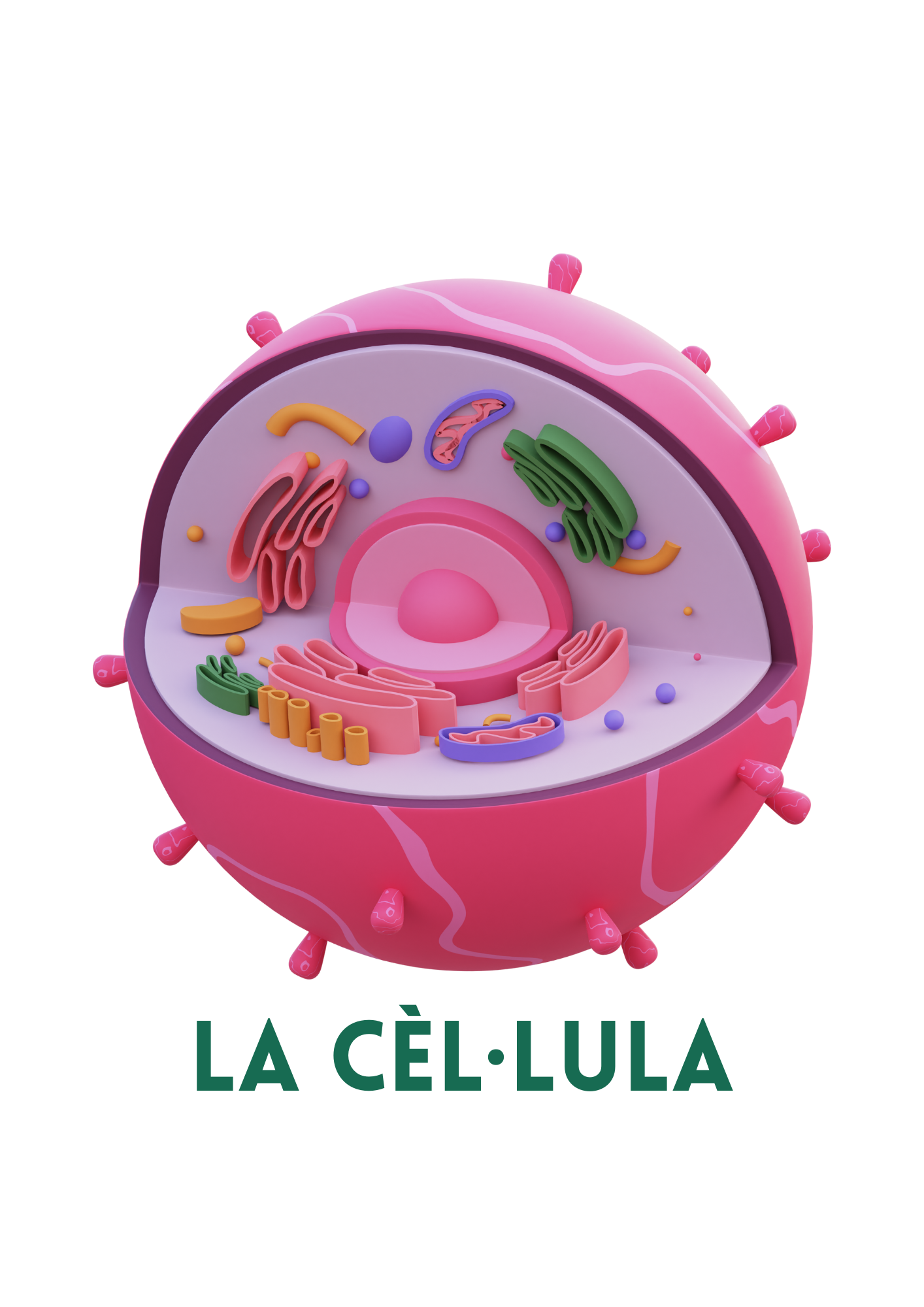 Resource image