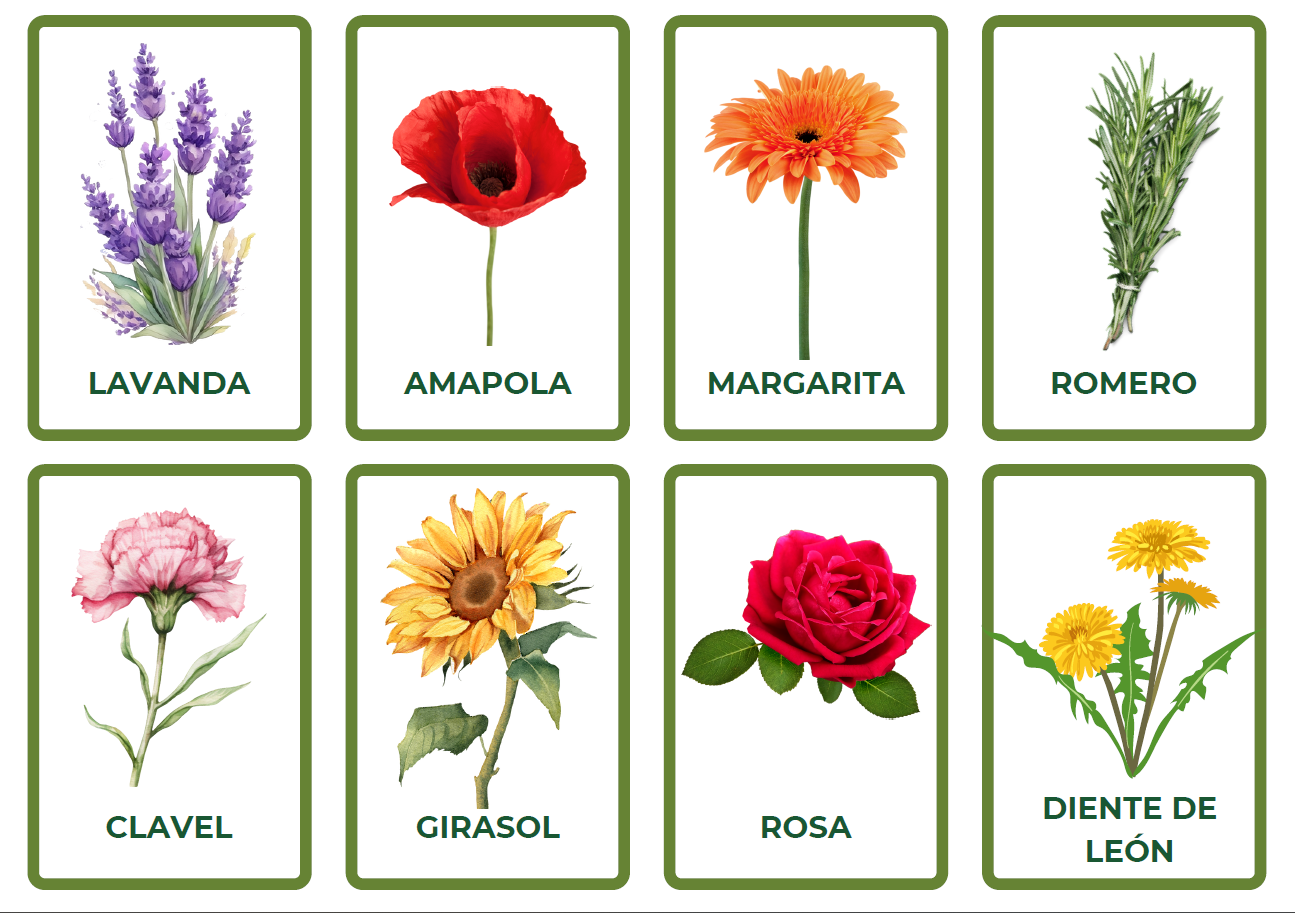 Resource image