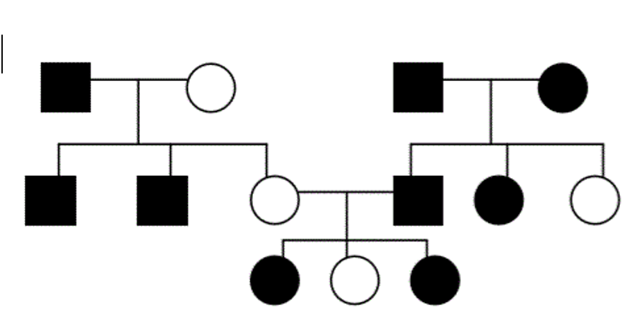 Resource image