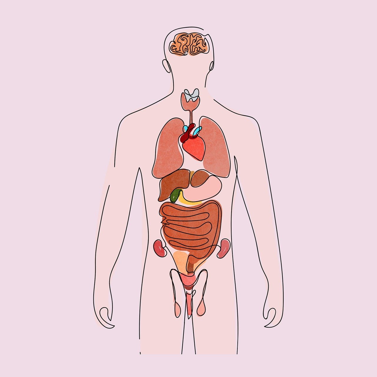 Resource image