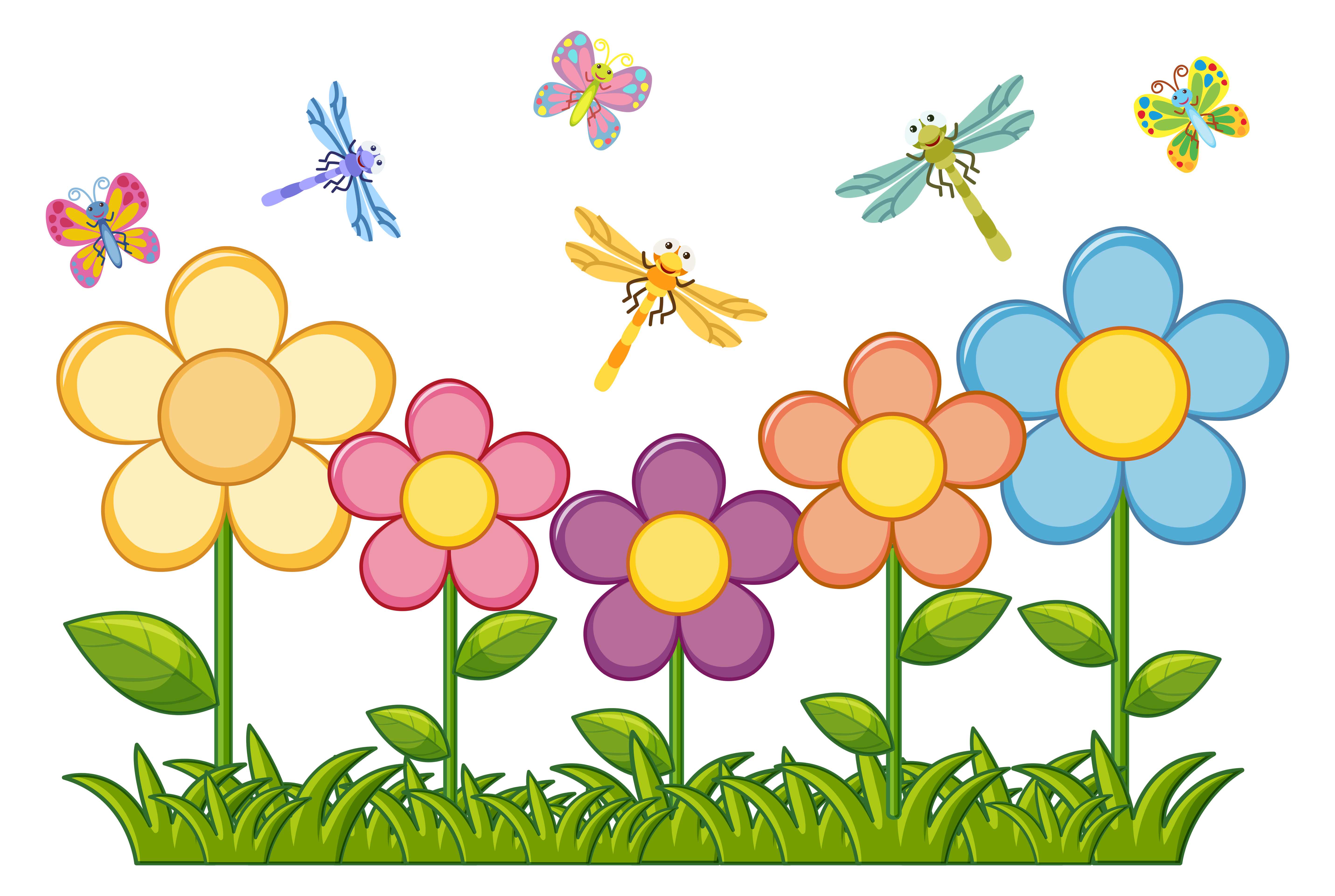 Resource image