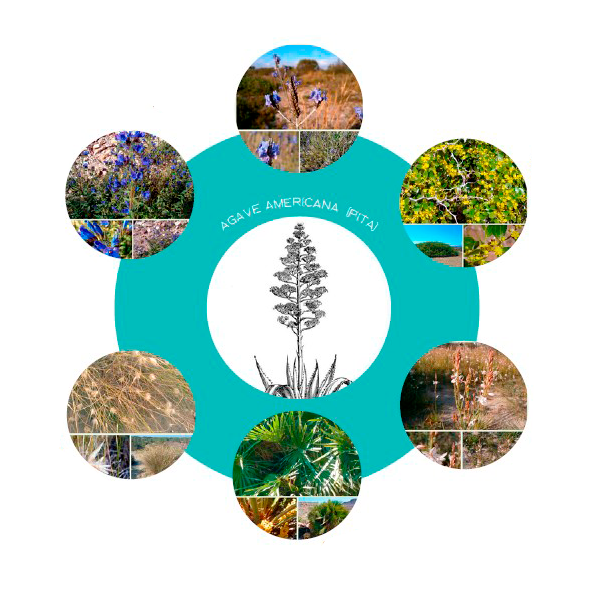 Resource image