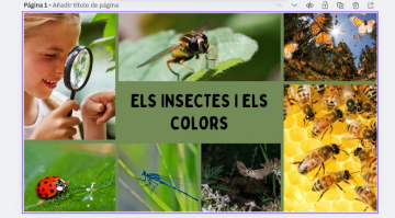 Resource image