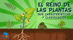 Resource image