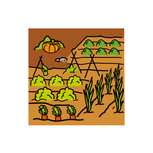 Resource image