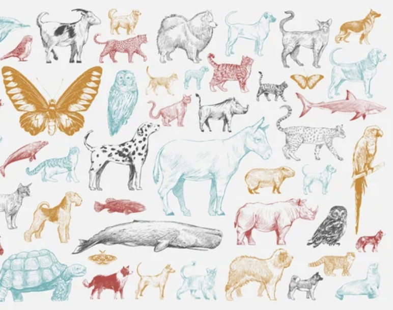 Resource image