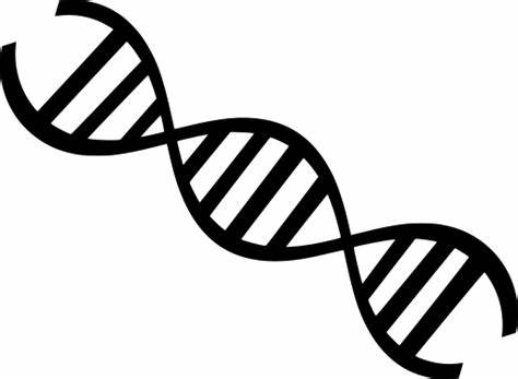 Resource image