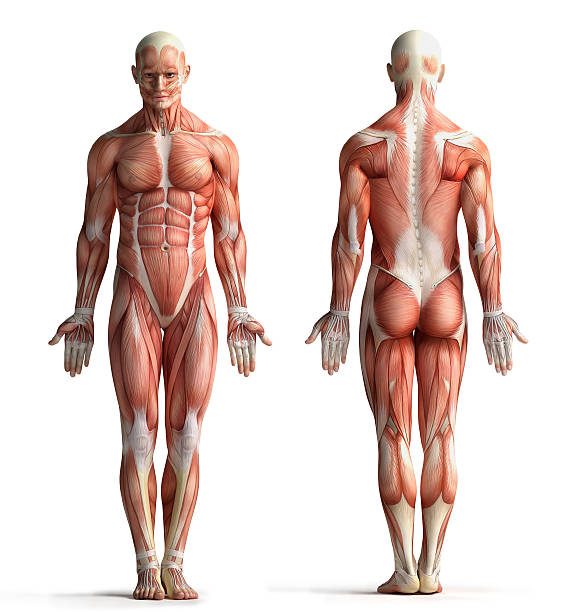 Resource image