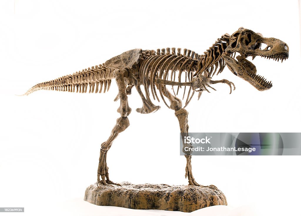 Resource image