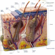 Resource image