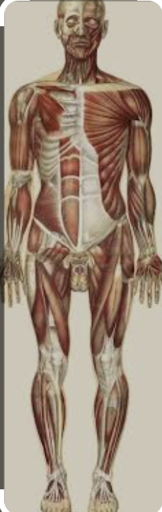 Resource image