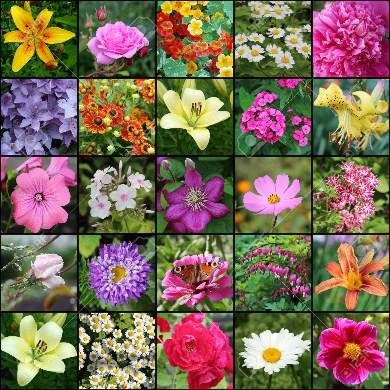 Resource image