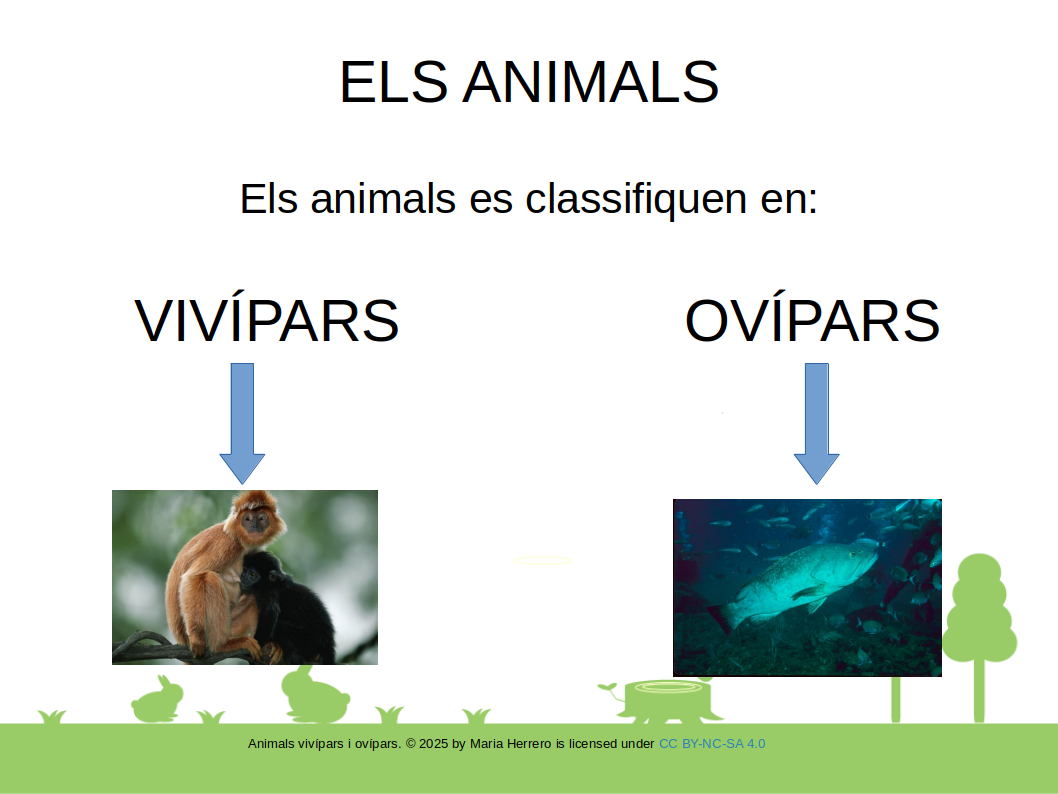 Resource image