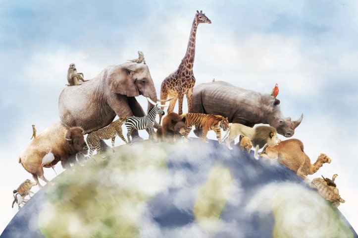 Resource image
