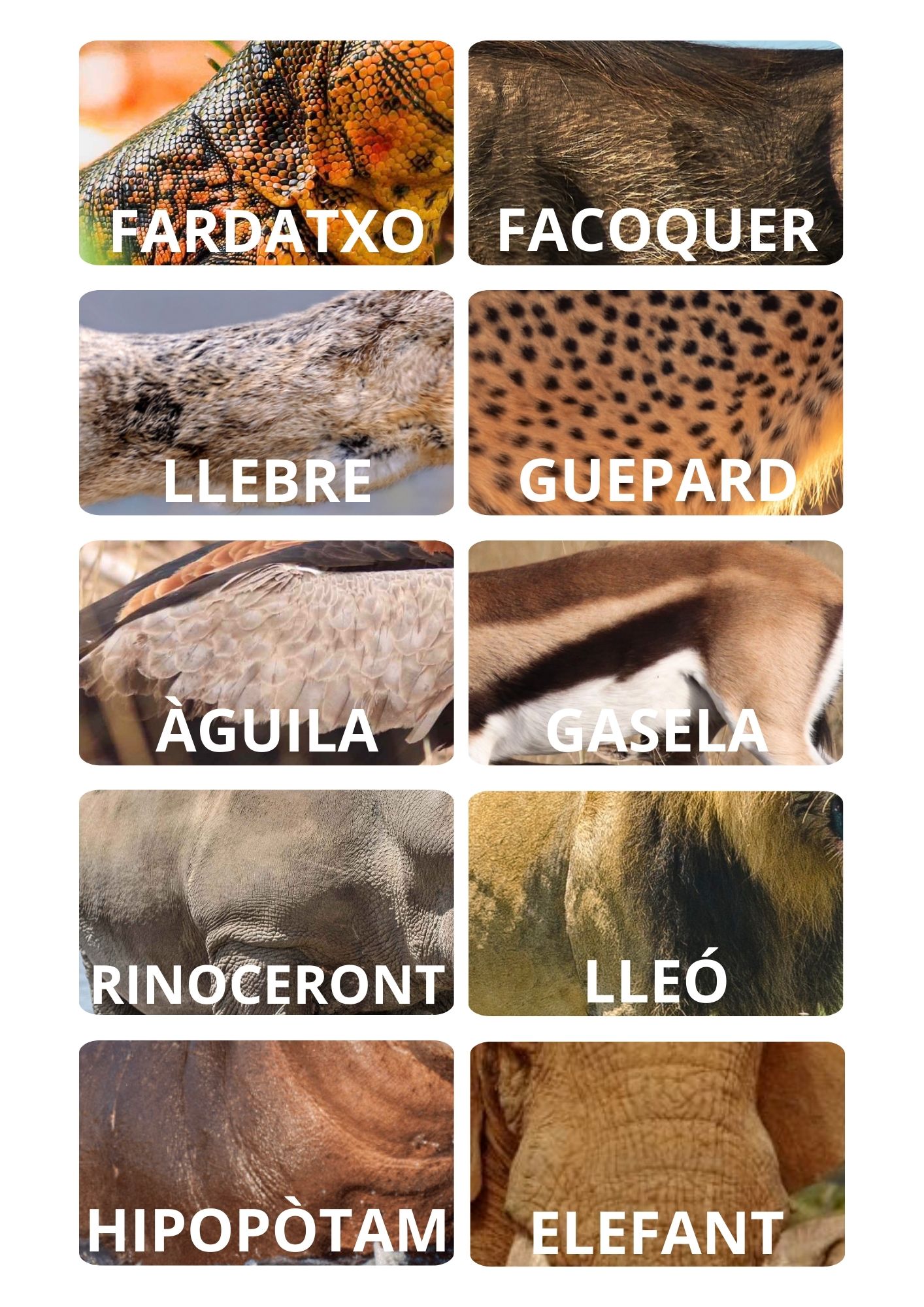 Resource image