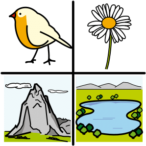 Resource image