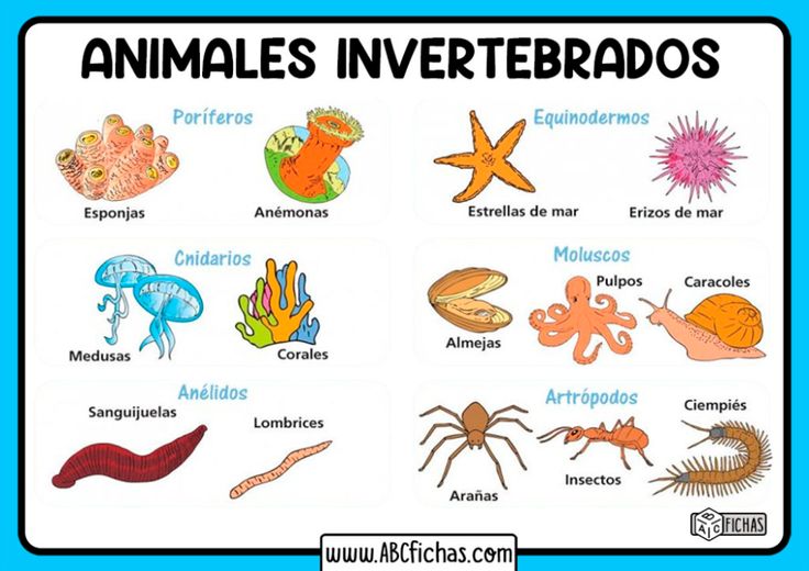 Resource image