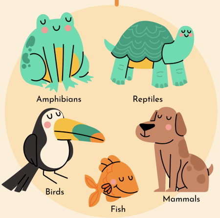 Resource image