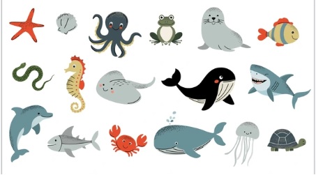 Resource image