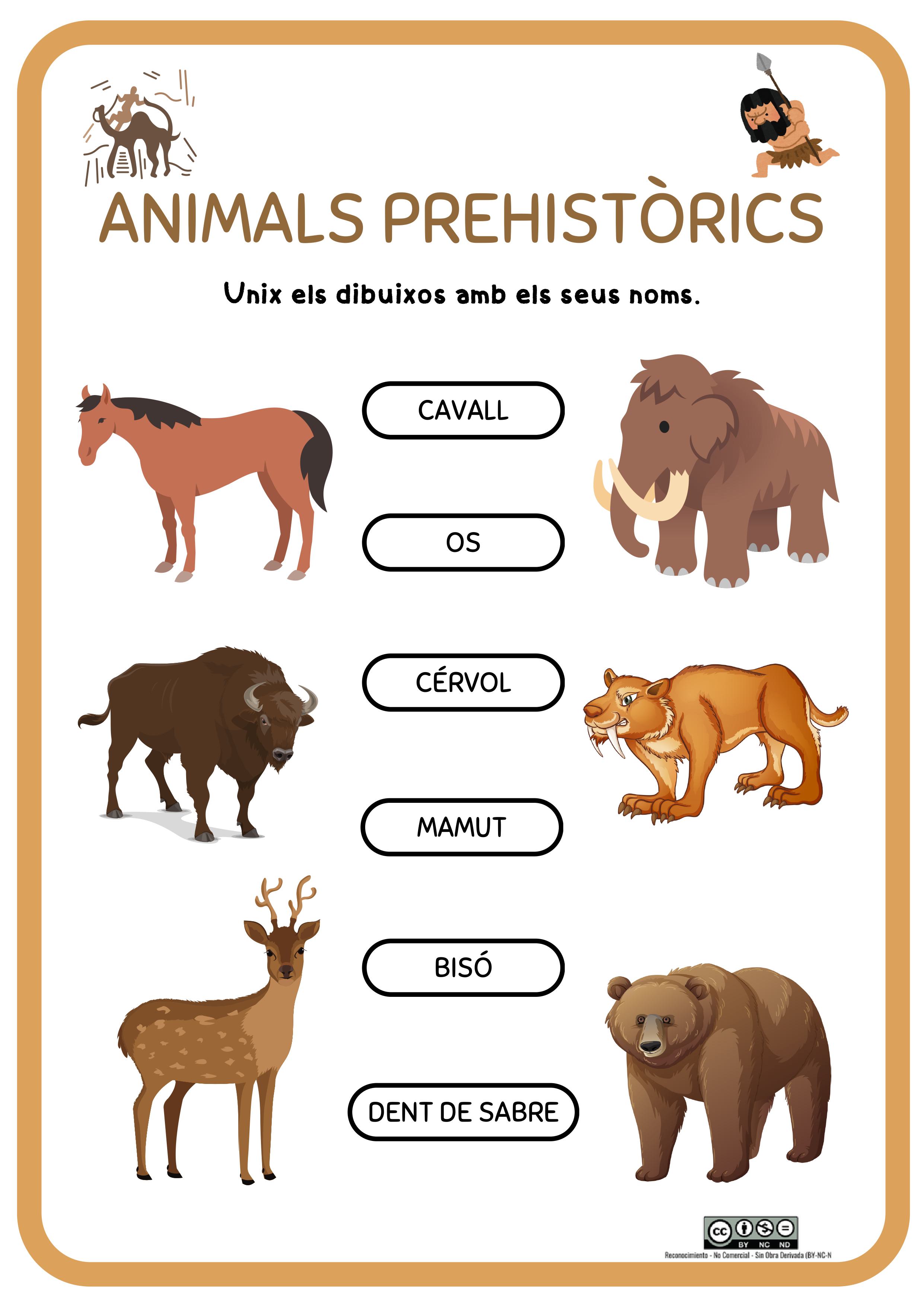 Resource image