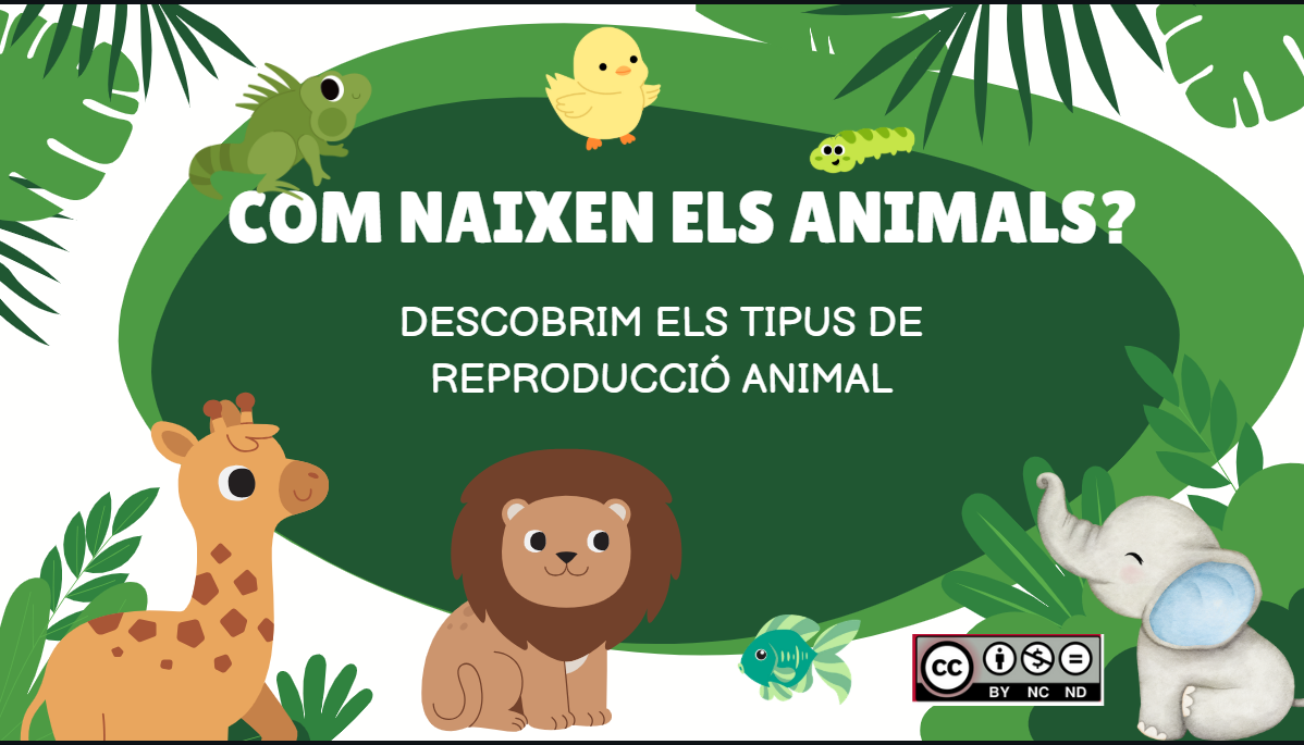 Resource image