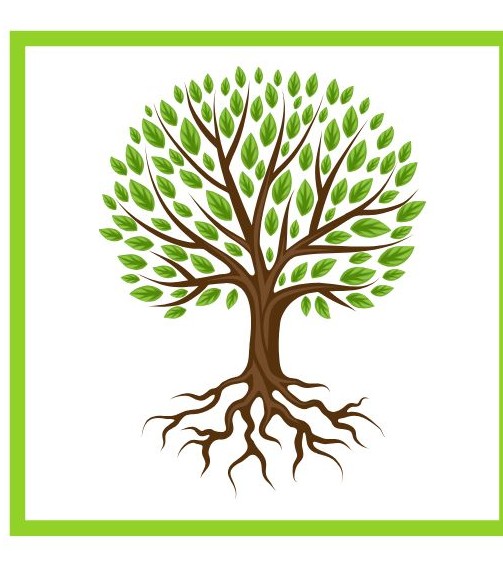 Resource image
