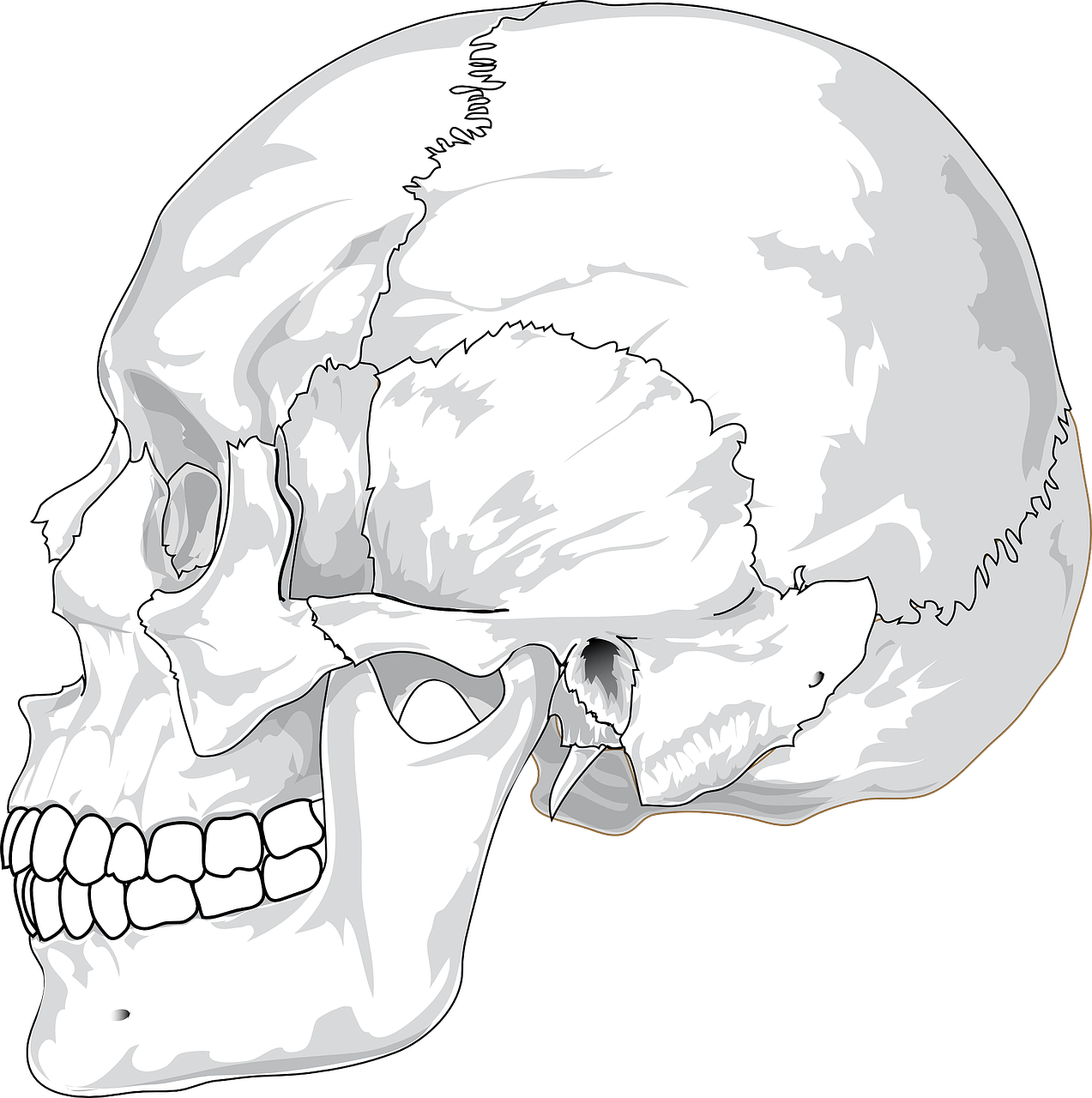 Resource image