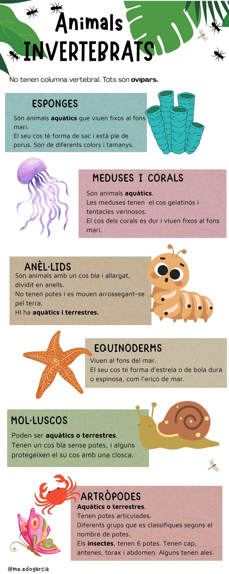 Resource image
