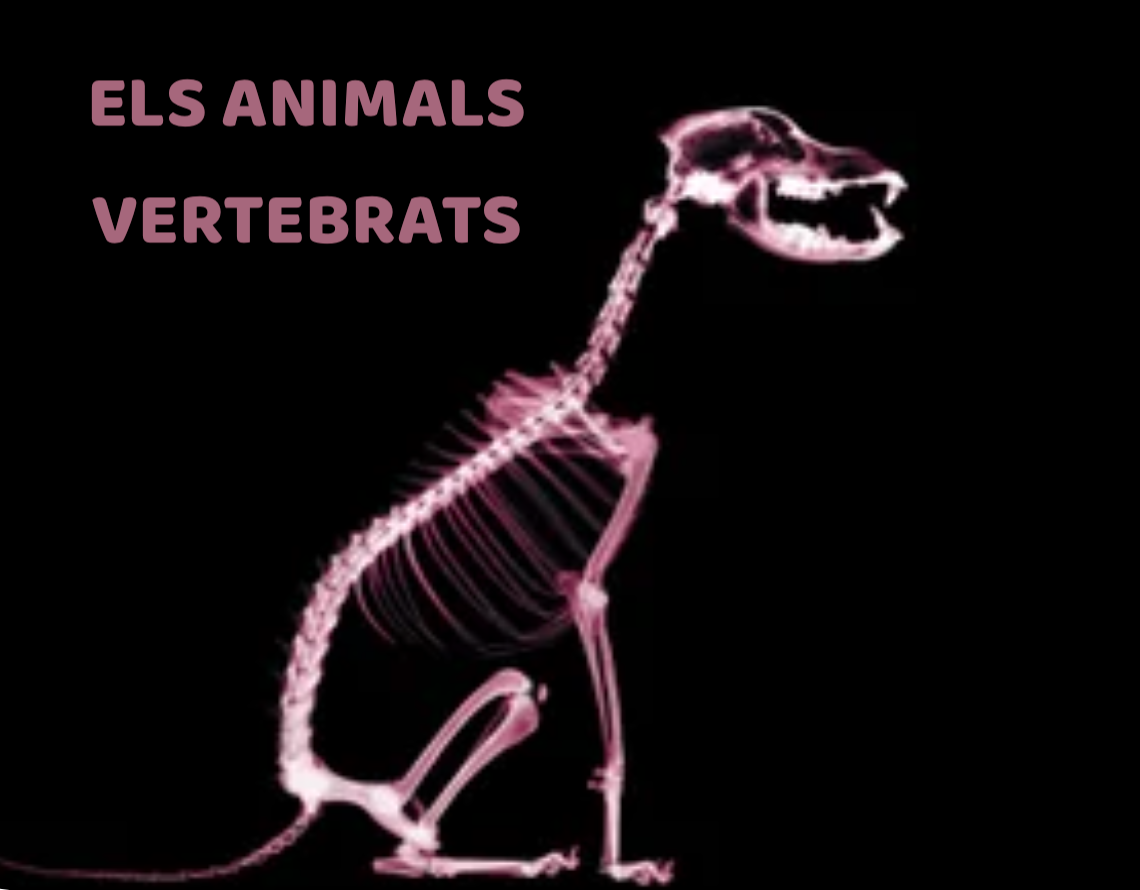 Resource image