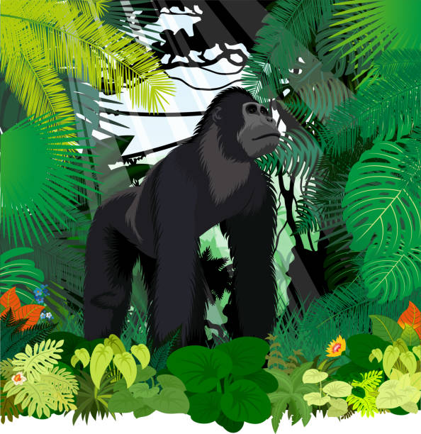 Resource image