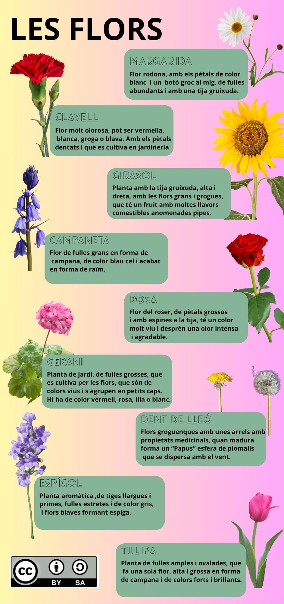 Resource image