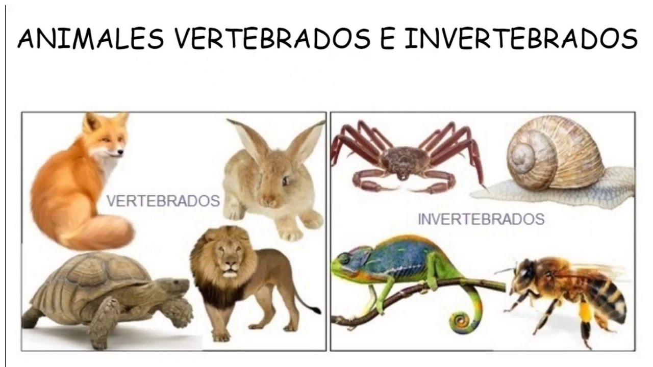 Resource image