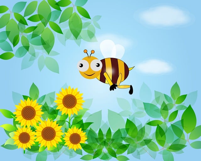 Resource image