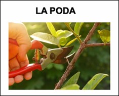 Resource image