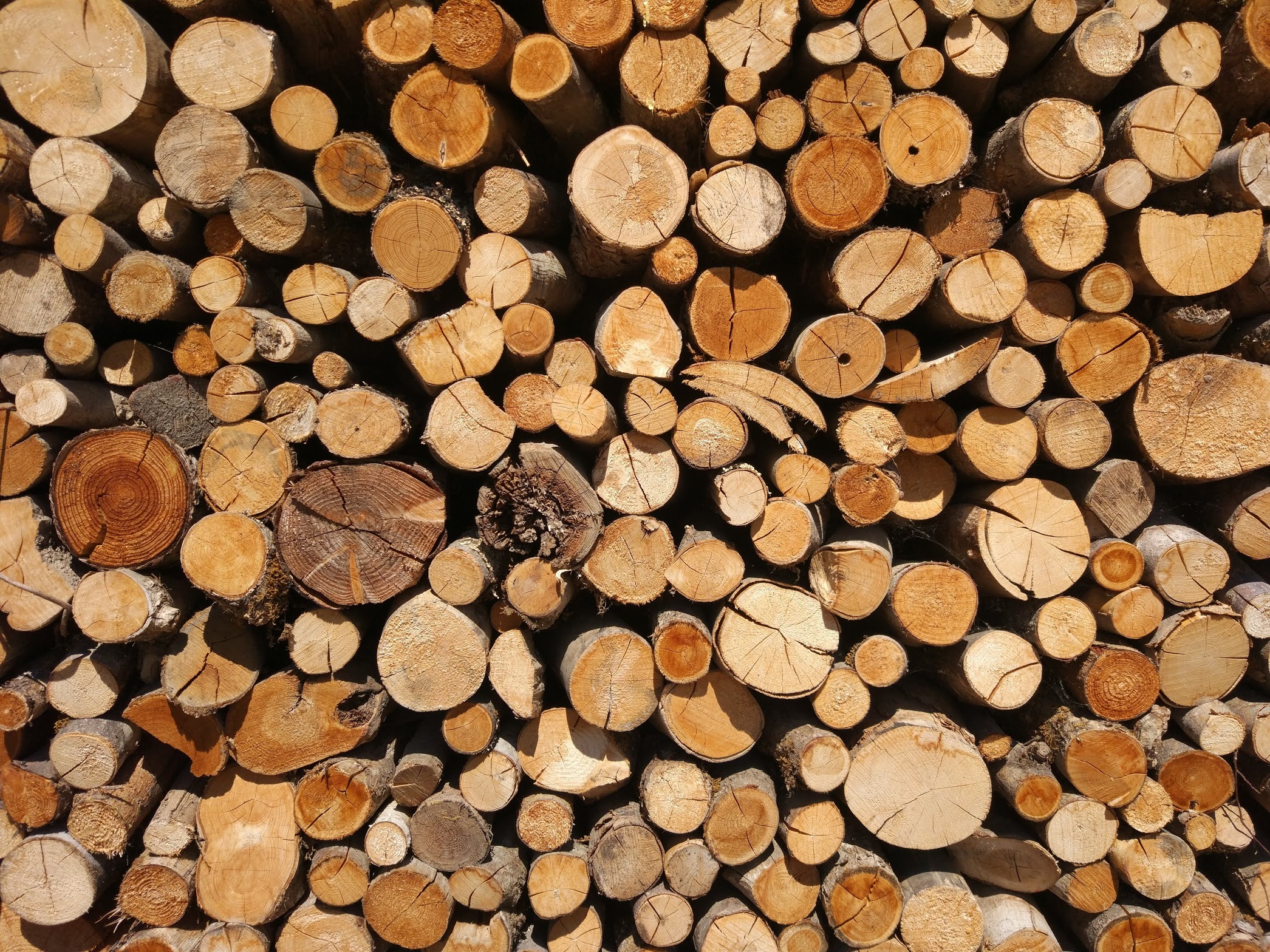 Resource image