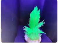 Resource image