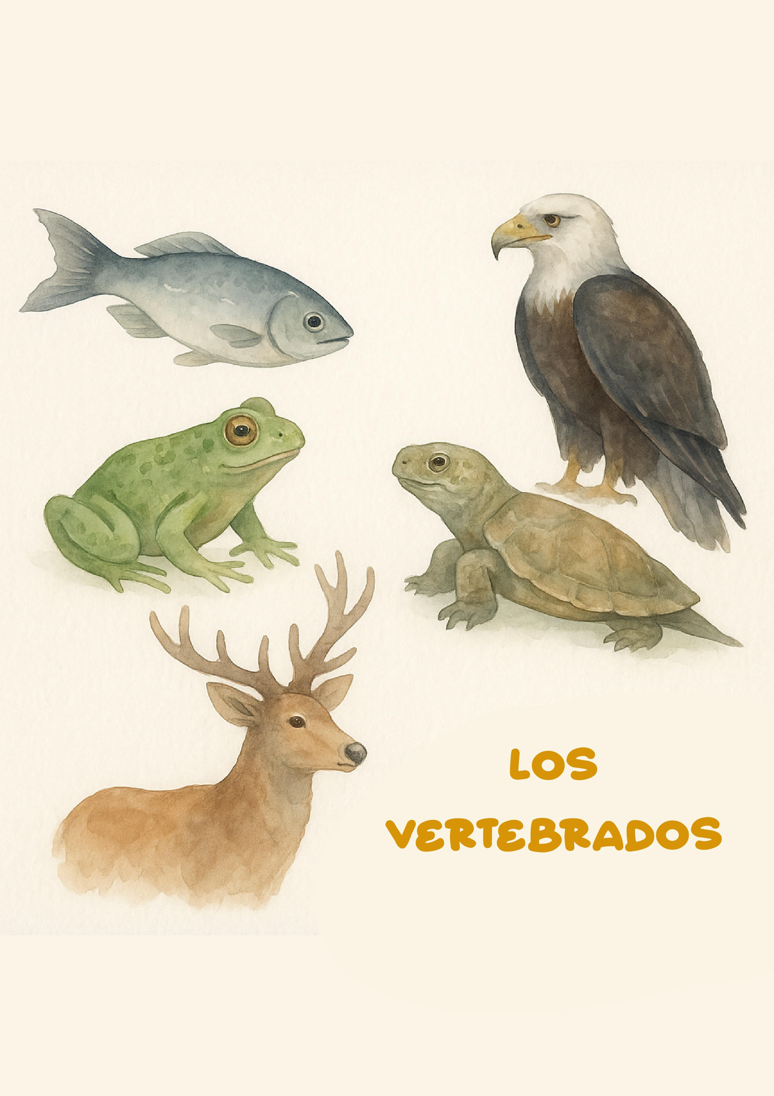 Resource image