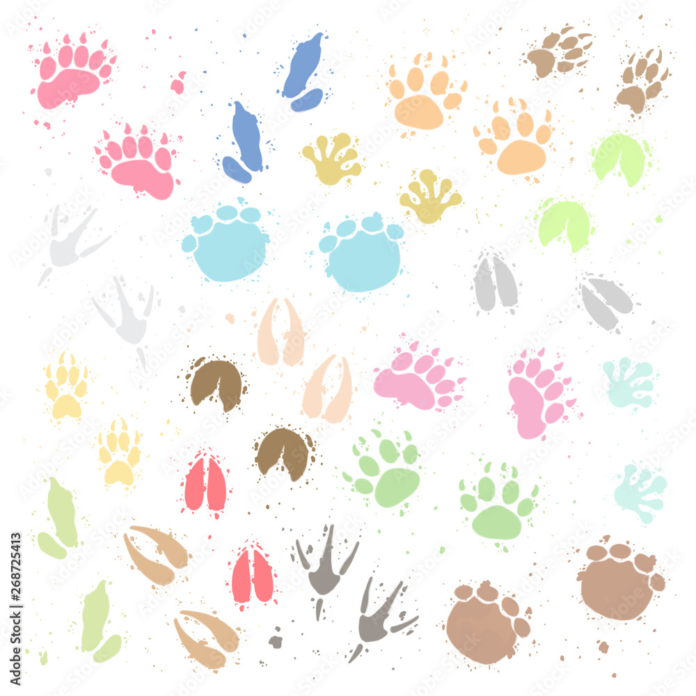 Resource image