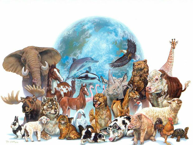 Resource image