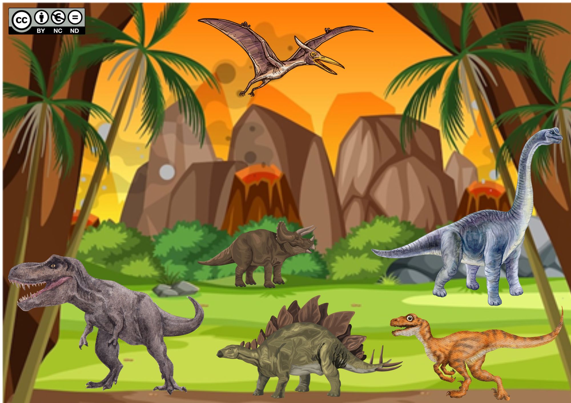 Resource image