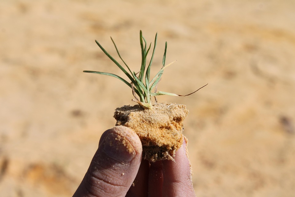 Resource image