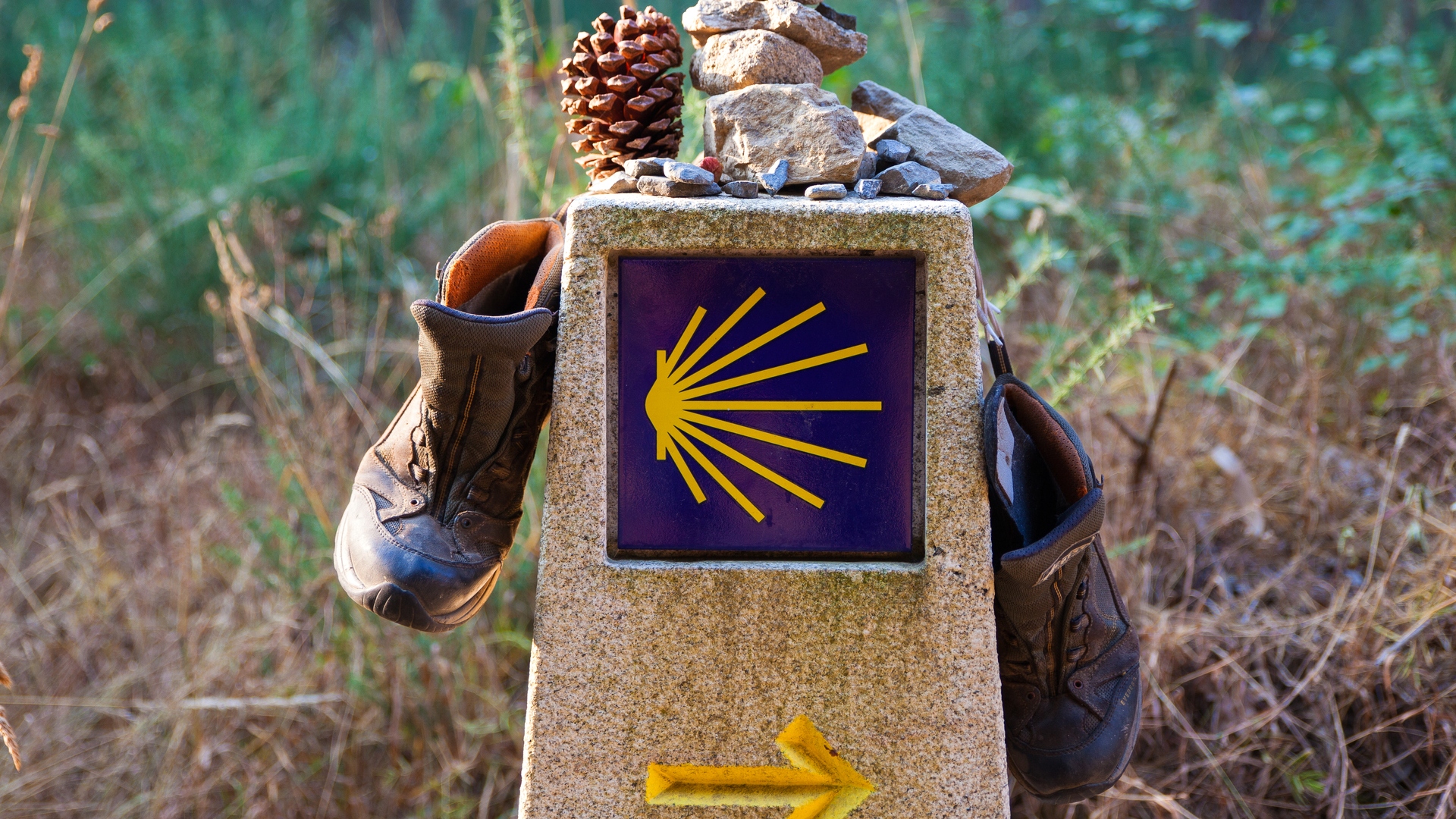 Resource image