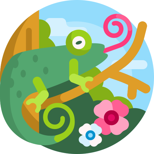 Resource image